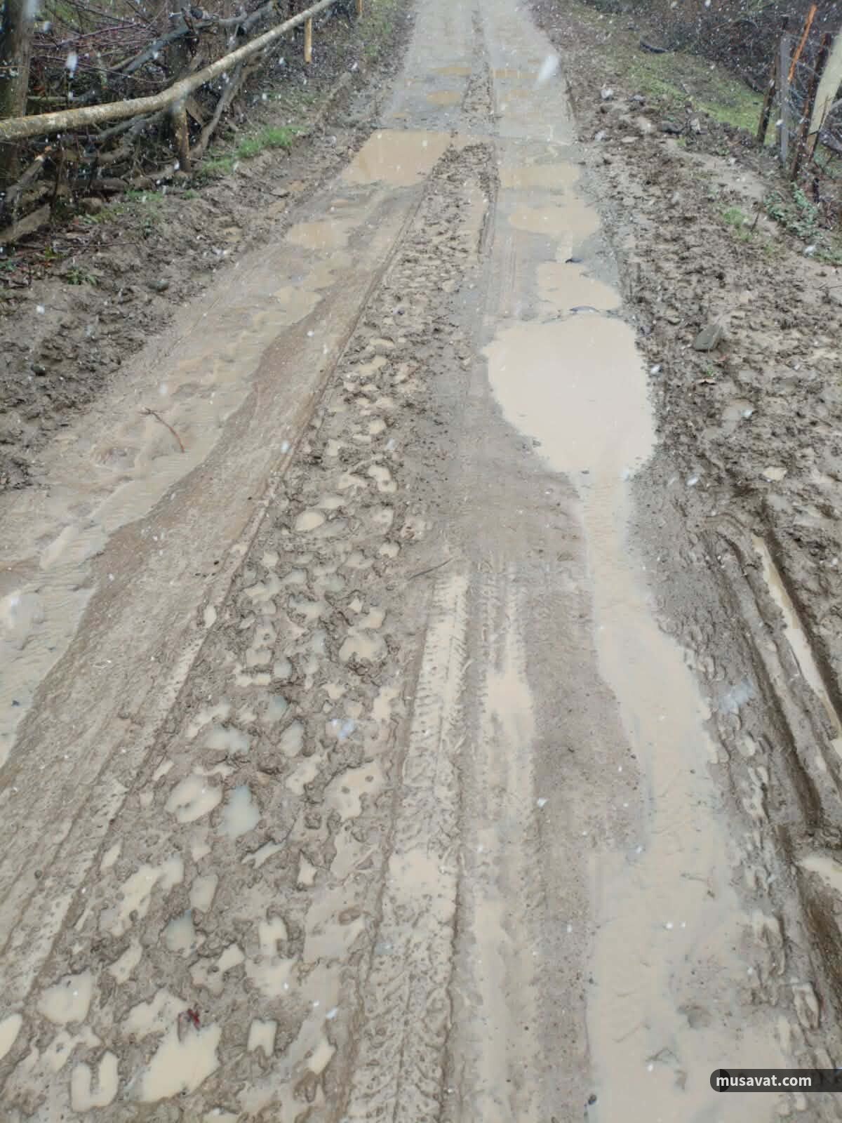 yol 6.jpg (142 KB)